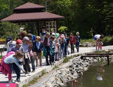 Ботанический сад - институт ДВО РАН, ботсад на Садгороде, Владивосток 