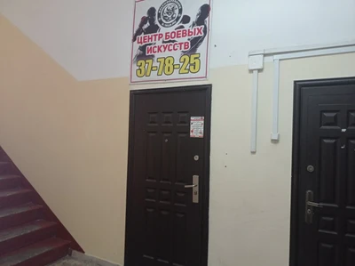 Центр боевых искусств (Спортивное объединение )