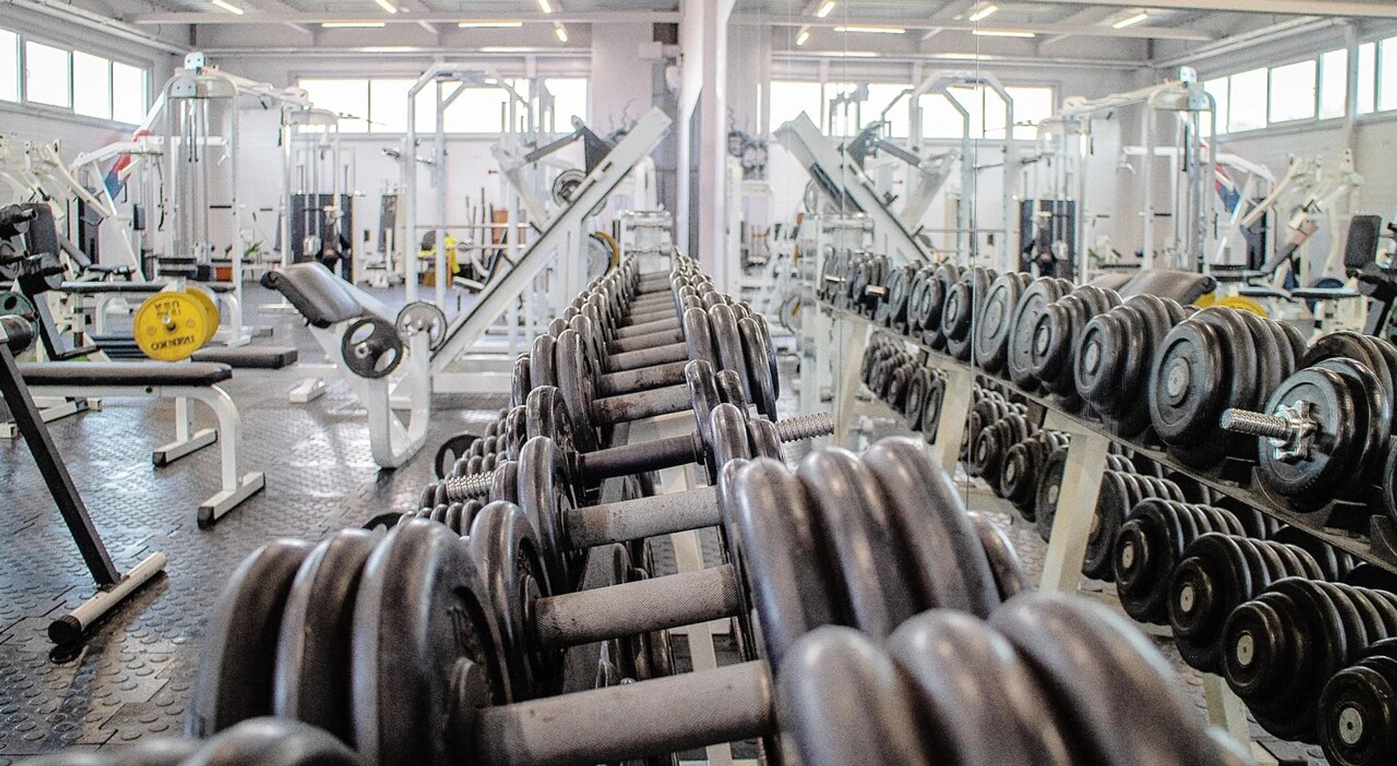 5gym (Фитнес-клуб )