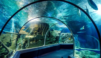 Океанариум Sochi Discovery World Aquarium