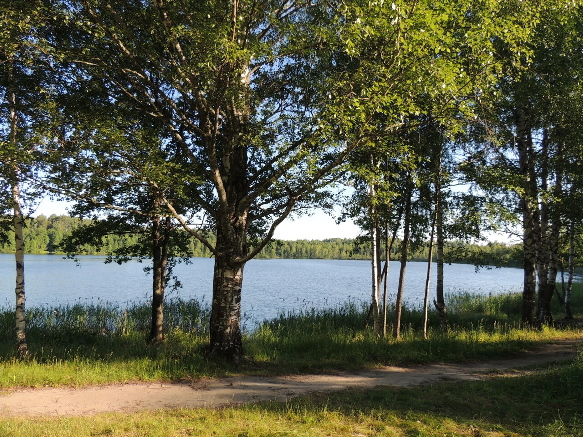 Пляж (Пляж)