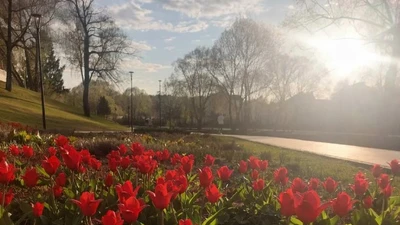 Воскресенский парк