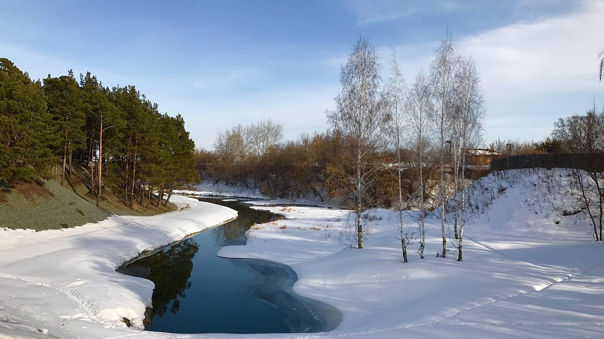 Гилевская роща (лесопарк)