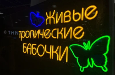 Парк живых бабочек (Зоопарк )