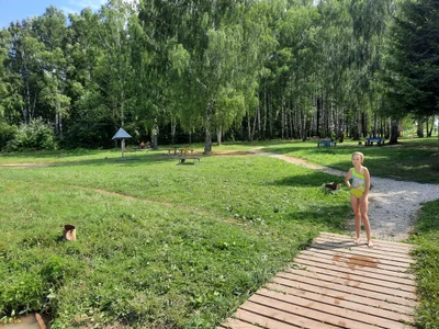Вачский парк (Парк культуры и отдыха )