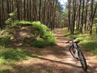 Прокат велосипедов и электровелосипедов (Прокат велосипедов)