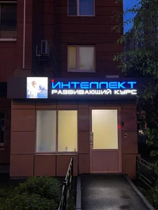 Интеллект (Дополнительное образование )