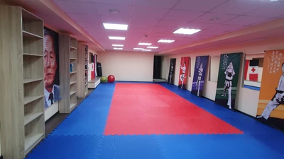 Тхэквондо СК Profi (Спортивная школа )