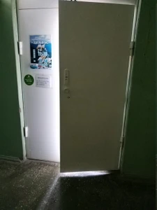 Эдельвейс (Услуги репетиторов)