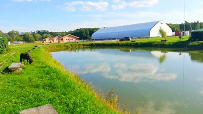 Костин двор (Конный клуб )