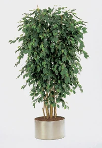 ТерраФлора (Искусственные растения и цветы )