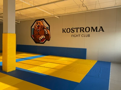 Школа единоборств (Спортивный клуб, секция)