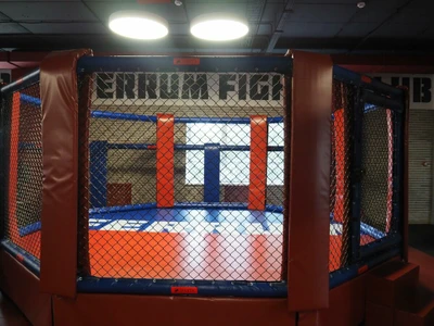 Феррум (Спортивный клуб, секция )