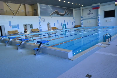 Золотая рыбка (Бассейн)