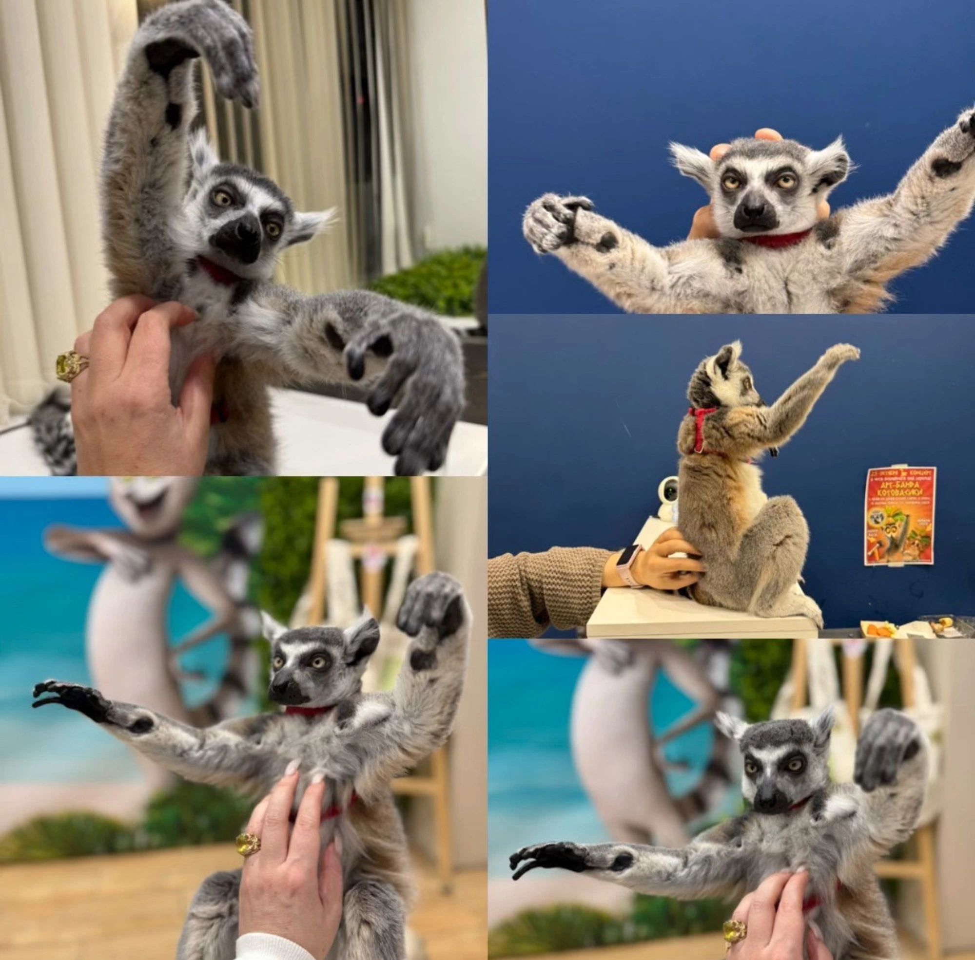 Многодетным семьям скидки! ❤️