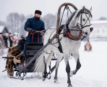 Лечебная верховая езда в "Музее Орловского рысака и русской тройки"