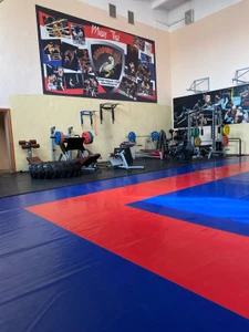 Scorpion (Спортивная школа)