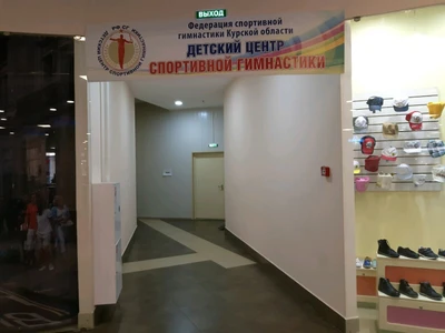 Детский центр спортивной гимнастики (Спортивный клуб, секция )
