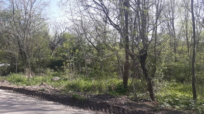 Армянский лес