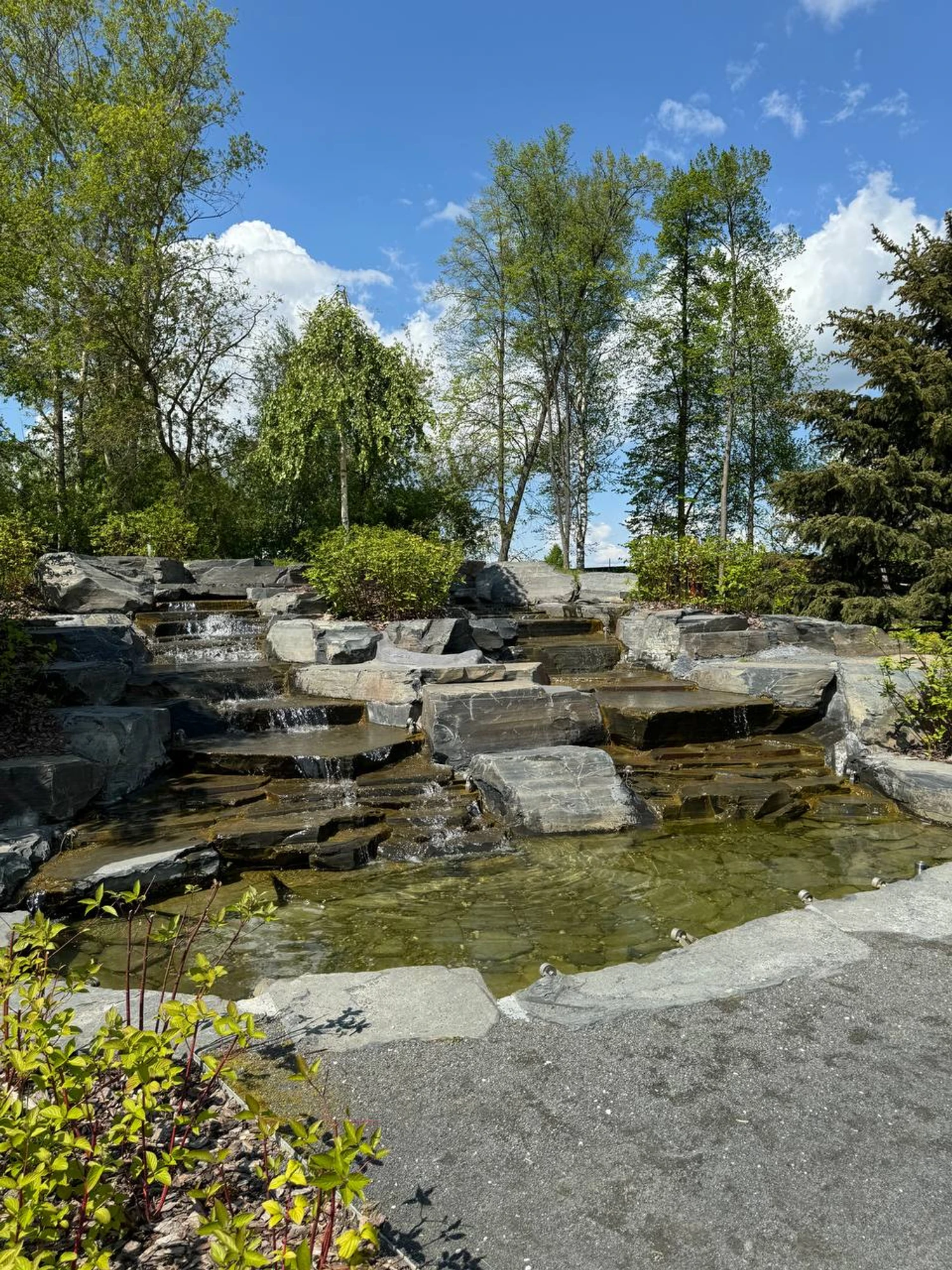 Фотосессия за городом в парке «Гжель»