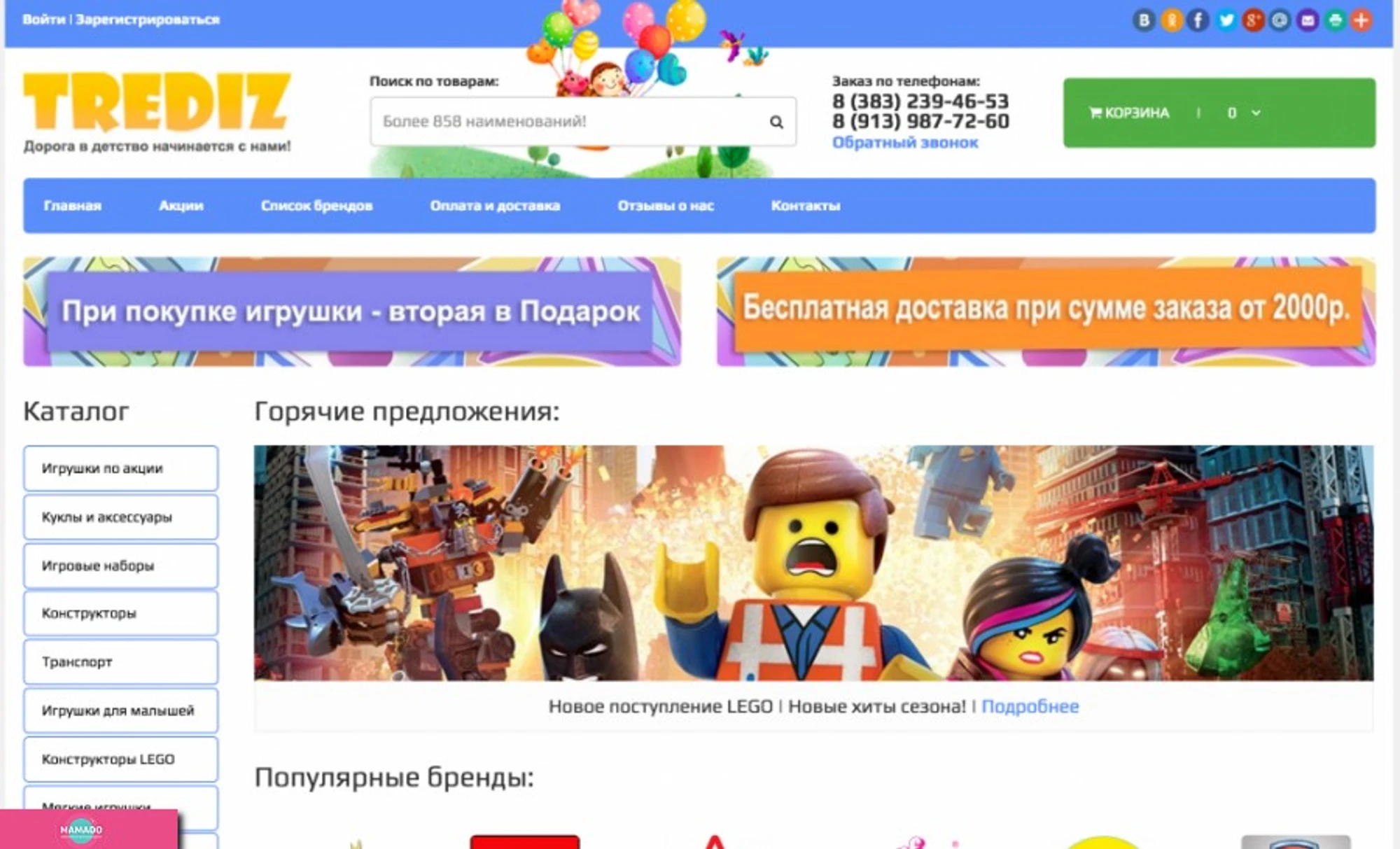 Trediz, интернет-магазин детских игрушек, Новосибирск