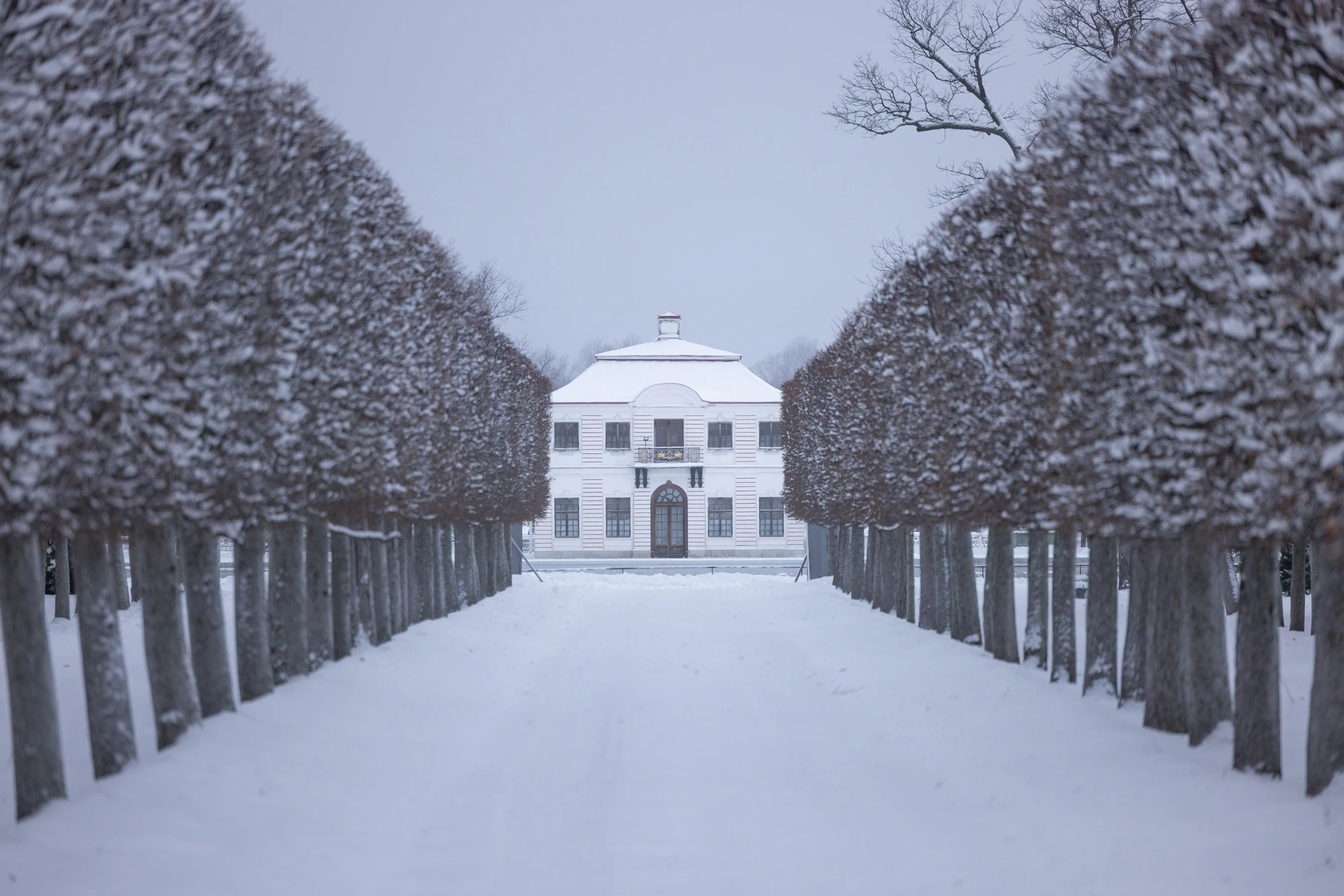 Фото:&nbsp;vk.com/peterhof_museum