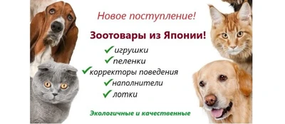 Зооаптека в каждый дом (Ветеринарная аптека )