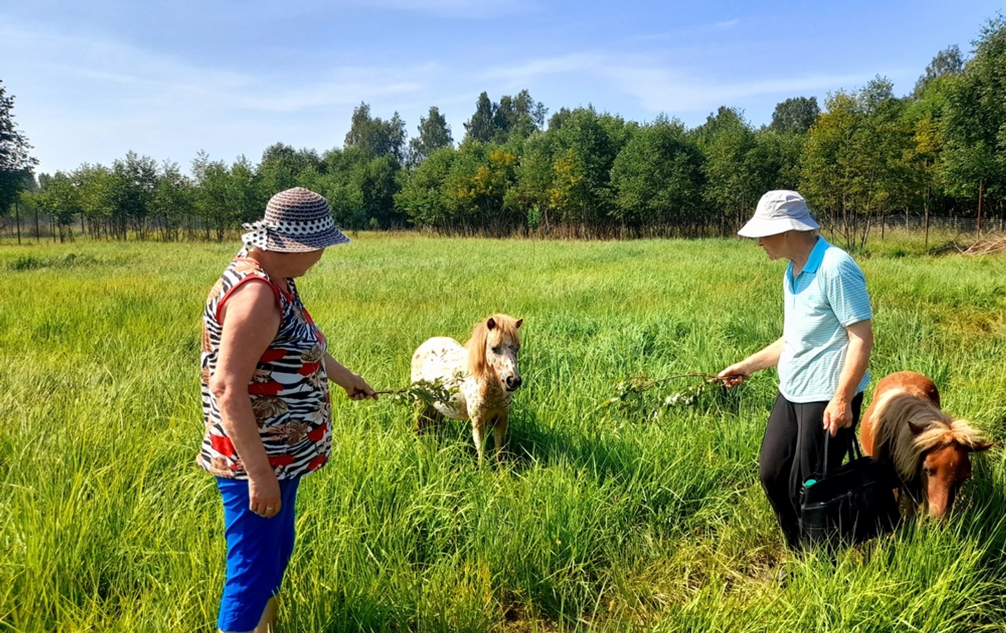 Экскурсия в Парк копытных и птиц