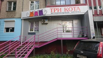 Три кота (Ветеринарная клиника )