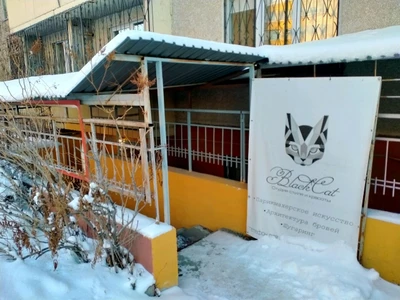 Black Cat (Салон красоты )