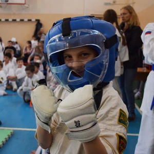 Федерация боевого каратэ