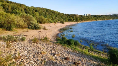 Пляж (Пляж)