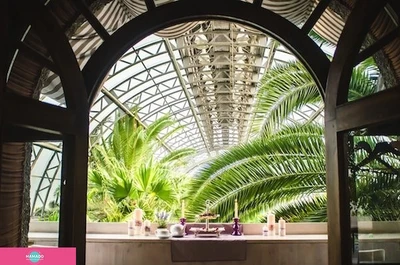 Лето, арт-кафе в оранжерее Таврического сада в СПб 