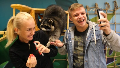 Фотосессия с енотами в "Енотовиль"