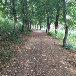 Комсомольский парк