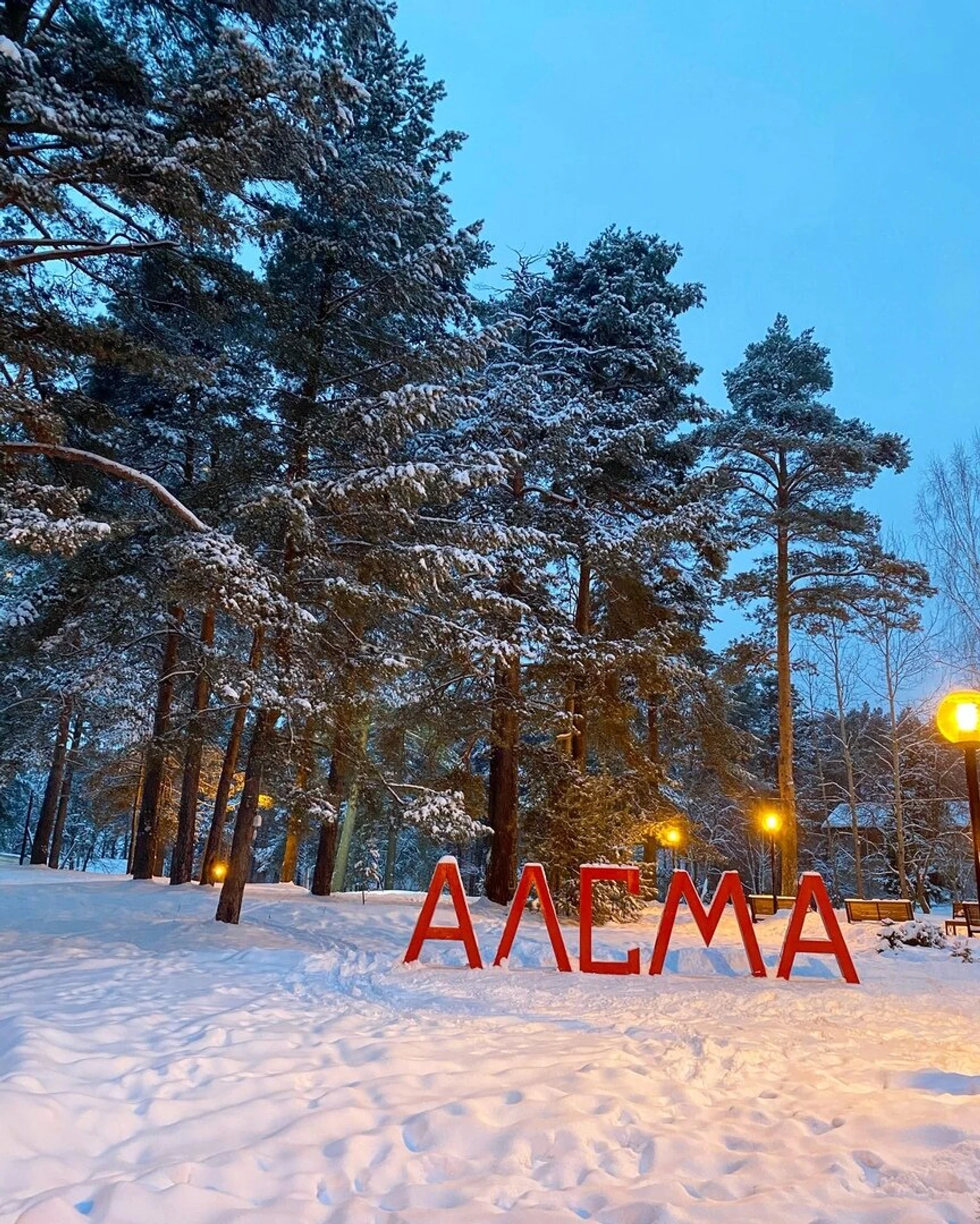 Алсма (Дом отдыха)