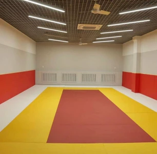 Нататами (Спортивный клуб, секция)