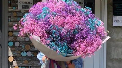Donna Fiori
