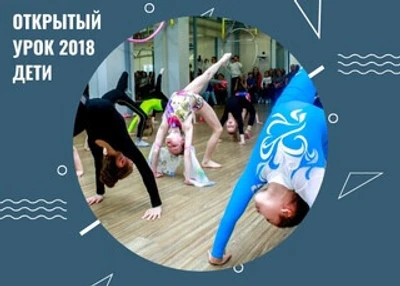 Школа танцевальной, воздушно-силовой акробатики "ЛУНА".