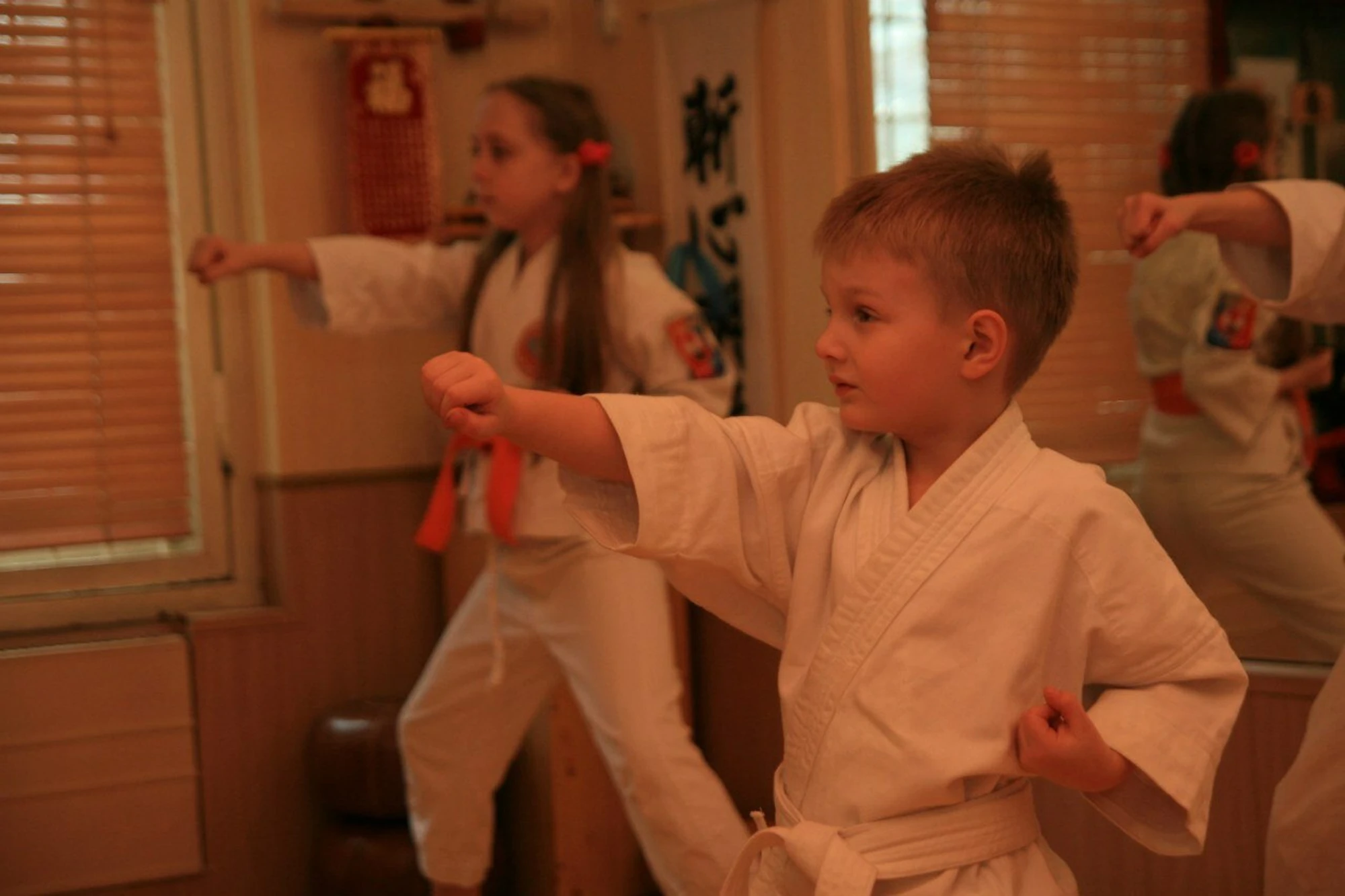 Маяк (Спортивный клуб, секция )