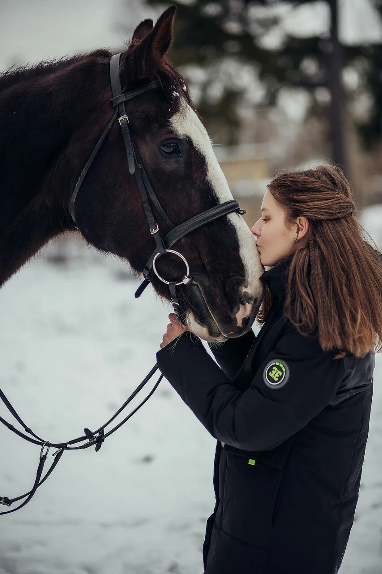 Bruns Horses (Конный клуб)