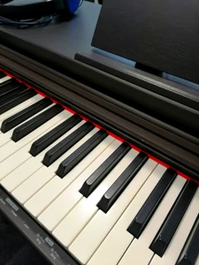 Music-Club (Музыкальное образование)