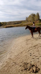 Конный клуб Феникс (Конный клуб)