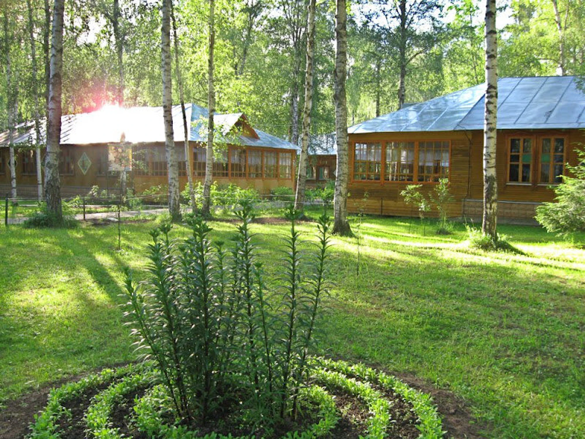 Орленок, офис (Детский лагерь отдыха)