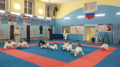 Детский клуб Сэйкан (Спортивный клуб, секция )