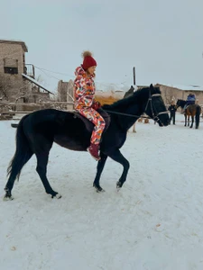 Конно-спортивный клуб Авантис (Конный клуб)