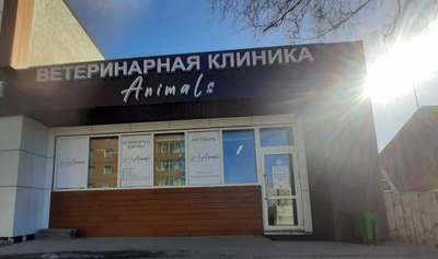 Animals (Ветеринарная клиника )