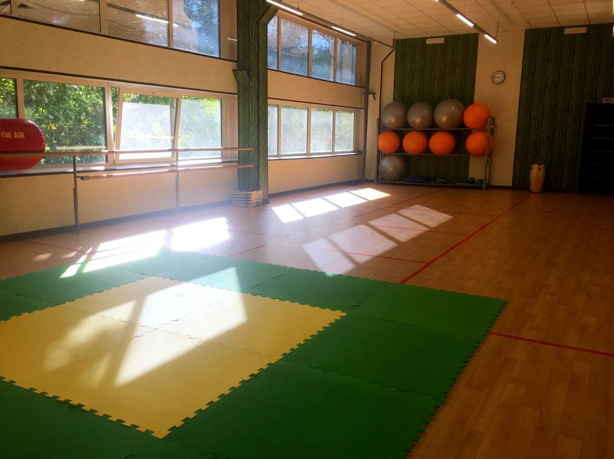 Российский центр Капоэйры (Спортивный клуб, секция )