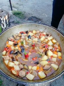 Акуля (Турбаза )