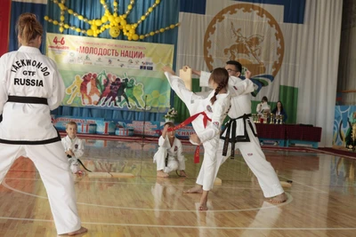 Спортивная Федерация Тхэквондо (Спортивный клуб, секция)